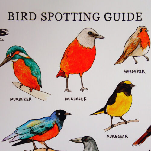 images Bird Spotting Guide A2 Poster
